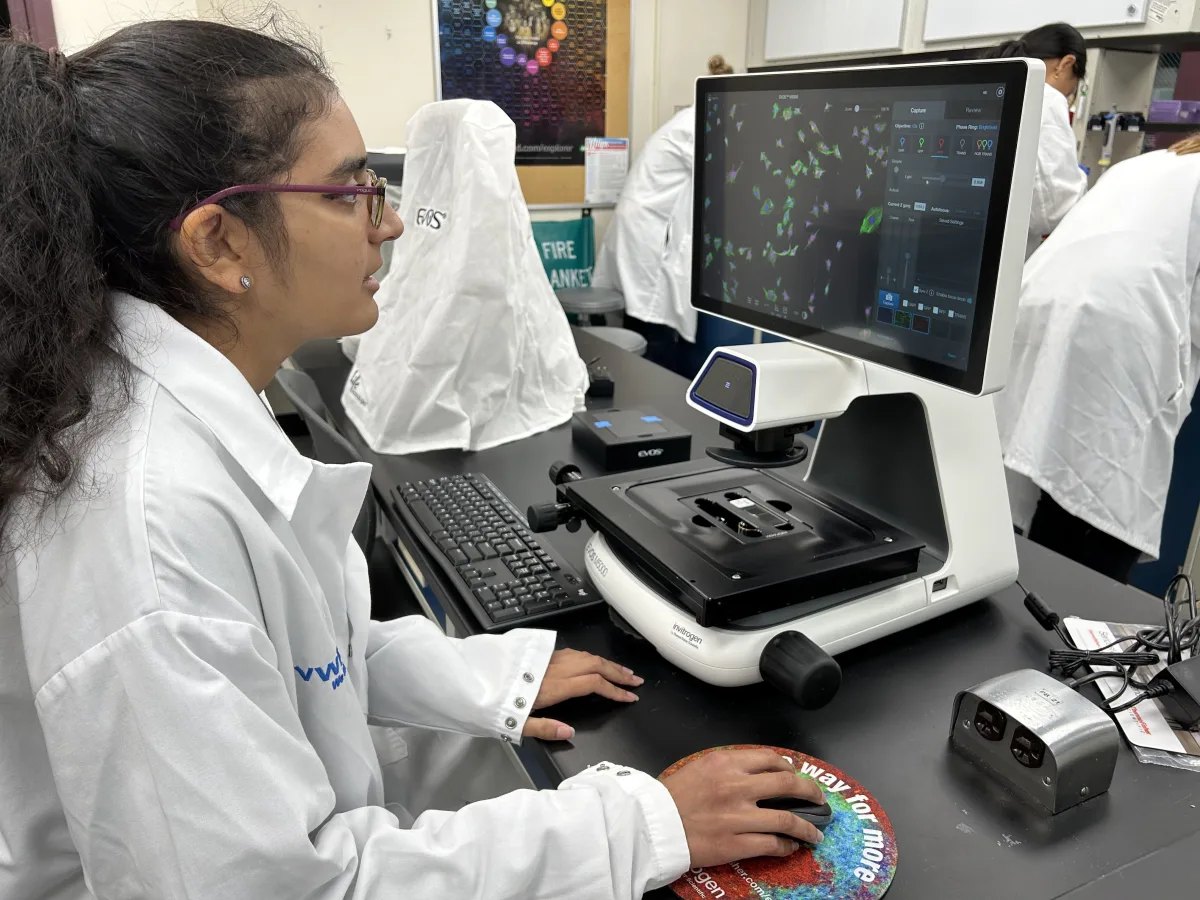 A biotechnology student in a lab coat looking at fluorescent cells on an imaging microscope screen